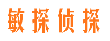 从化私人调查